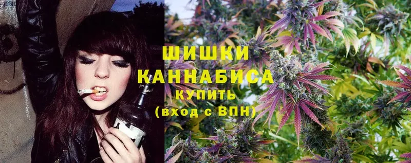 Бошки Шишки OG Kush  Боготол 